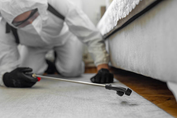 Professional Termite Control technician working in Terre Haute, IN