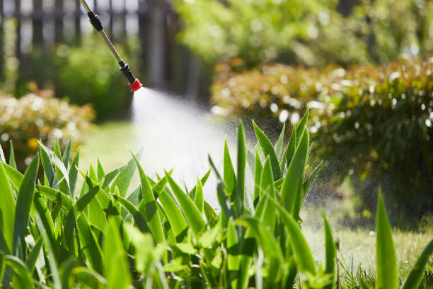 24/7 Emergency Termite Control experts in Terre Haute, IN