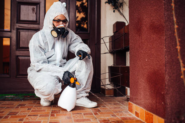 Reliable Termite Control contractor in Terre Haute, IN by Nex Pest Control