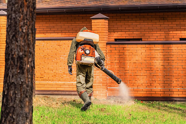 Trusted Ant Control service in Terre Haute, IN - Nex Pest Control